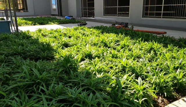 网页模板选择对网站优化的实际影响与取舍