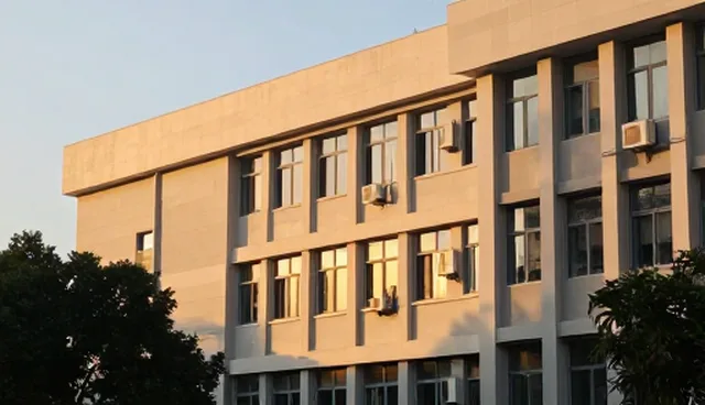 政府网站设计选型与维护建议